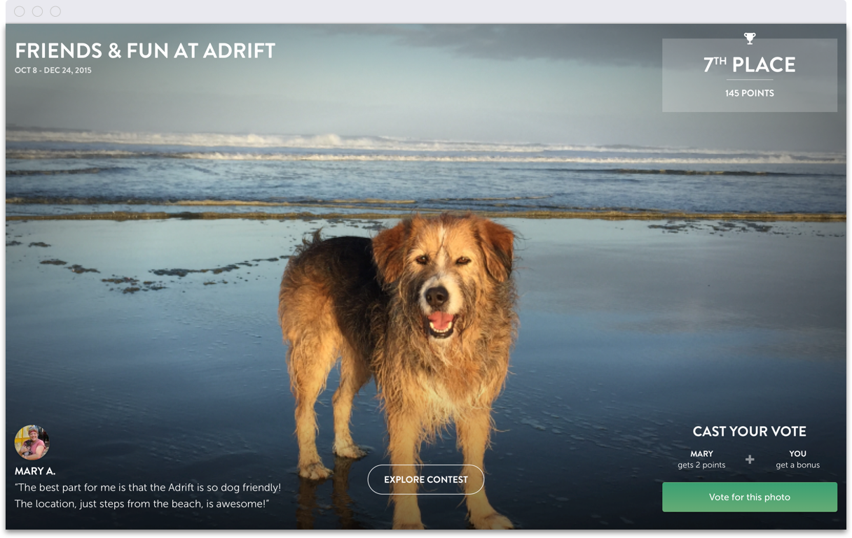 PhotoExplorer_Friend_Dog_2_Adrift