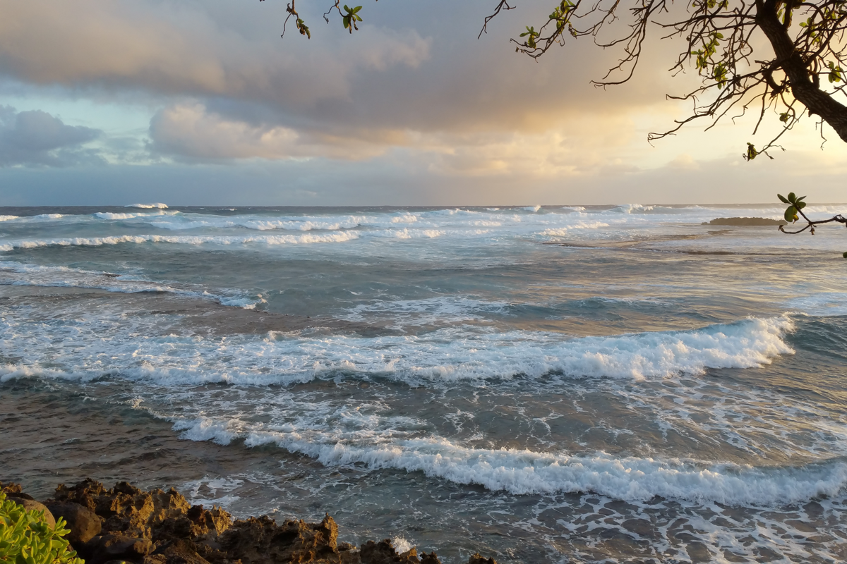 turtlebay-top-march