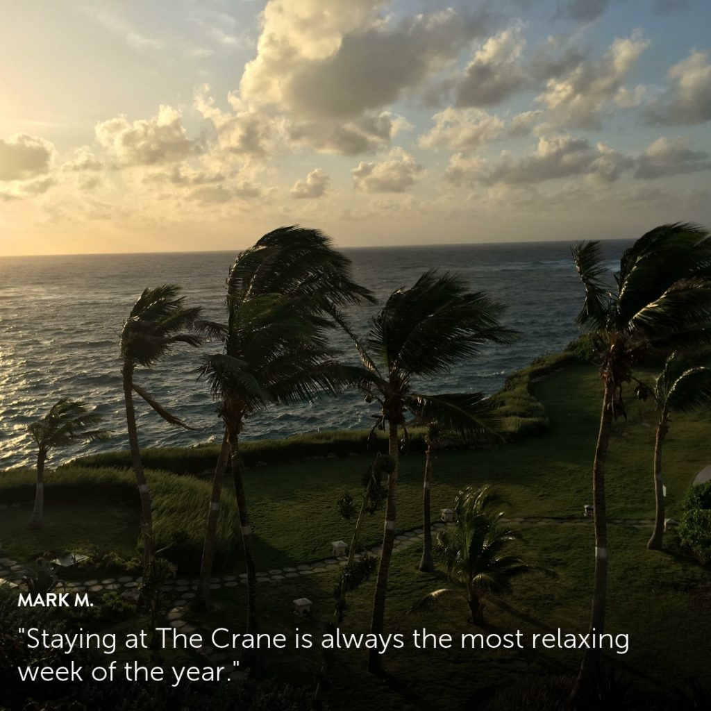 The Crane Resort brings to light guest stories with Flip.to