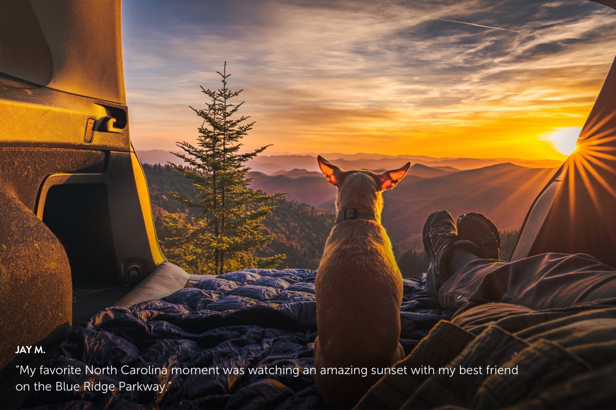 Photo submission from Jay M., showing a small chihuahua in the back of an SUV looking out of the open hatchback at the sunset as its owner is laying camping next to him. Jay's photo says 'My favorite North Carolina moment was watching an amazing sunset with my best friend on the Blue Ridge Parkway.'